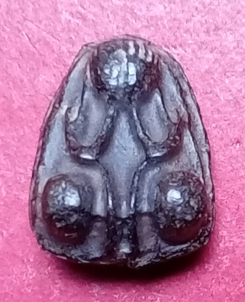 20260222_163514.jpg