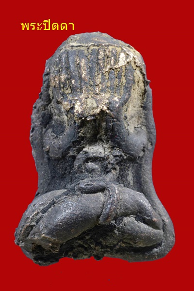 229979_0.jpg